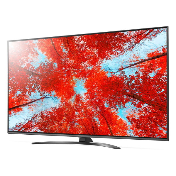 LGエレクトロニクス 65UQ9100PJD [65V型 地上・BS・110度CSデジタル 4K 