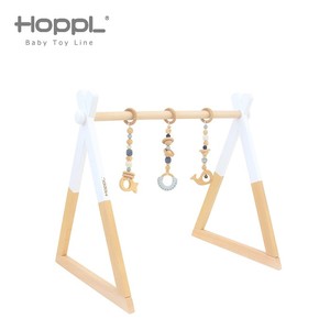 その他ベビー用おもちゃ