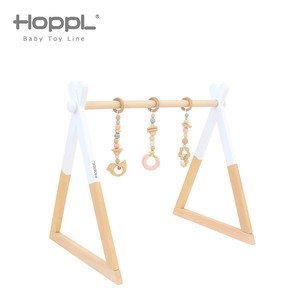 その他ベビー用おもちゃ