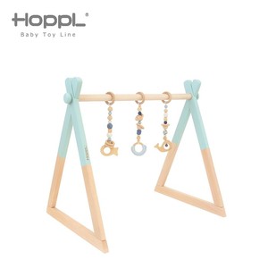 その他ベビー用おもちゃ