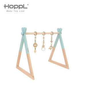 その他ベビー用おもちゃ