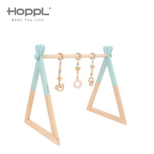 その他ベビー用おもちゃ