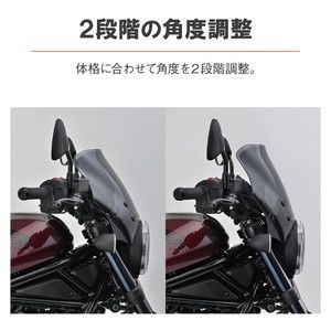 デイトナ D24477 スクリーン レブル250/500(20-21) ブラスト