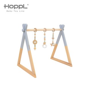 その他ベビー用おもちゃ