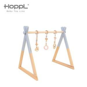 その他ベビー用おもちゃ