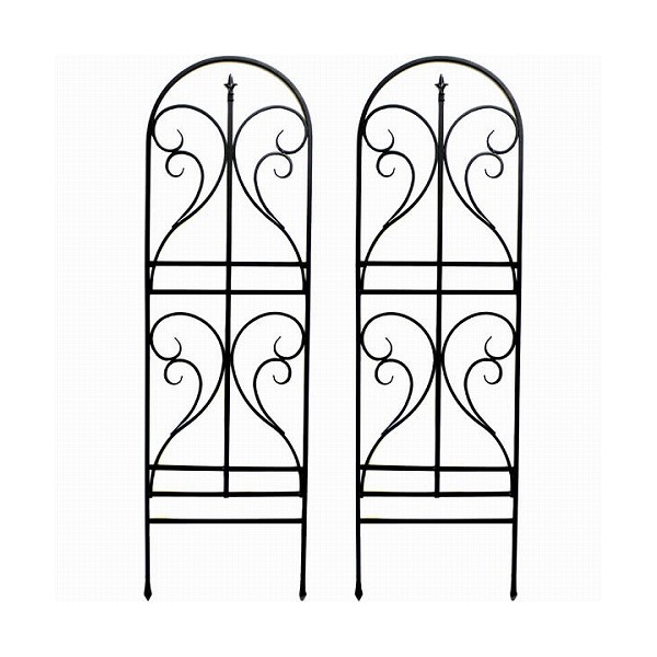 Z܂X^C IF-FN7950-2P-BLK ACAgX tBjA  2g ubN