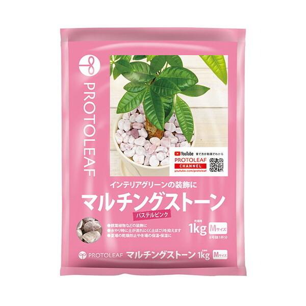 vg[t }`OXg[(pXesN)M 1Kg [ϗtAp]