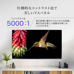 MAXZEN マクスゼン JU50SK06 [50型 地上・BS・110度CSデジタル 4K対応 液晶テレビ]