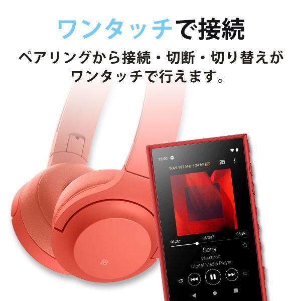 SONY NW-A105-B ブラック Walkman(ウォークマン) A100シリーズ [ポータブルオーディオプレーヤー (16GB)  ヘッドホン非同梱モデル ハイレゾ音源対応]