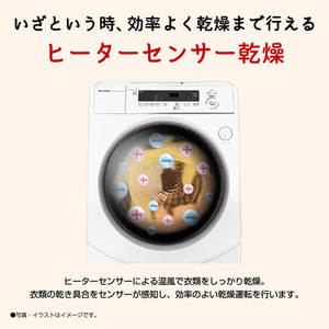 SHARP ES-H10G-WL ホワイト系 [ドラム式洗濯乾燥機 (洗濯10.0kg/乾燥