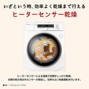 SHARP ES-H10G-WR ホワイト系 [ドラム式洗濯乾燥機(洗濯10kg/乾燥6kg