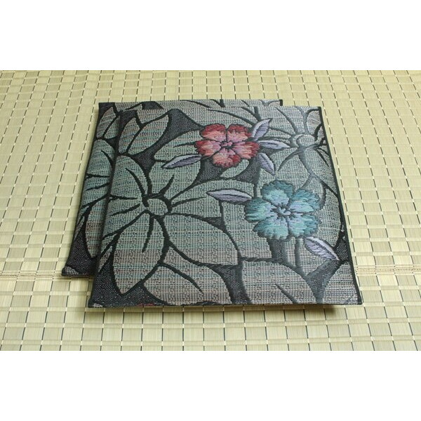 CPqRER[|[V 1131320042605 Y ܐD D璹 zc wȂł 2gx u[ 60×60cm×2P