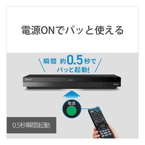 SONY BDZ-FBW1100 [ブルーレイレコーダー(HDD1TB・2番組同時録画