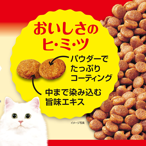 いなばペットフード CIAO for AIMクランキー 17g×5袋 チキン味 | 激安