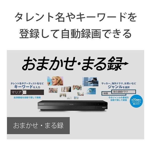 SONY BDZ-FBW2100 [ブルーレイレコーダー(HDD2TB・2番組同時録画