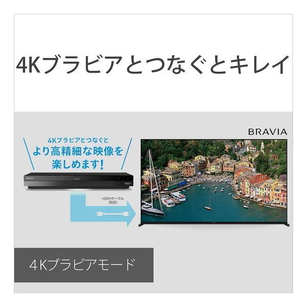 SONY BDZ-FBW2100 [ブルーレイレコーダー(HDD2TB・2番組同時録画