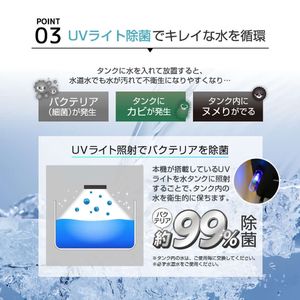 楽天市場】【期間限定10%OFFクーポン 6/23 10:00まで】 冷風機