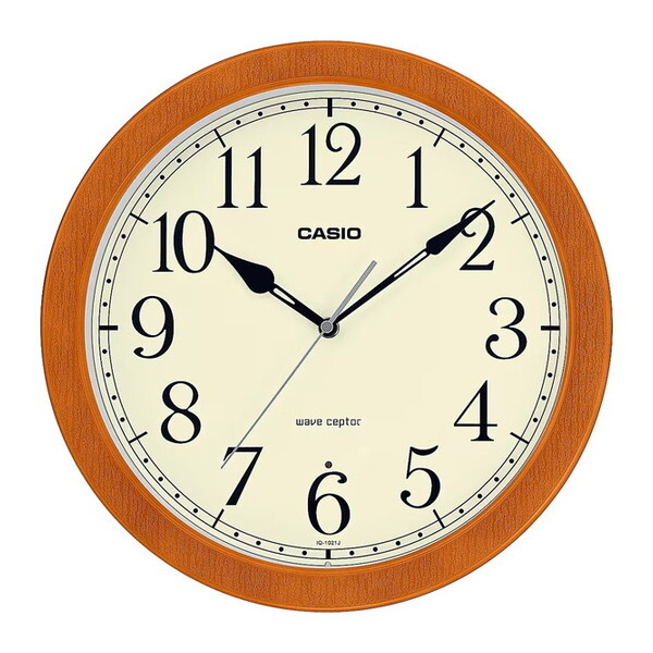 CASIO IQ-1021J-7JF  [dg|v]