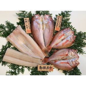 魚介類・海産物