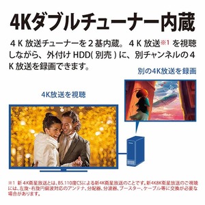 SHARP 4T-C55DN1 AQUOS [55V型 地上・BS・110度CSデジタル 4K内蔵 LED