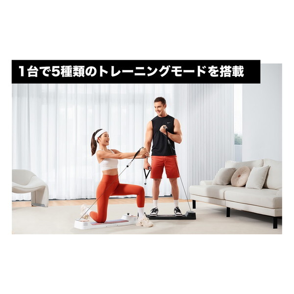 FIGHTING ROAD スマートホームジム(コンパクトモデル)SHG300 | 激安の