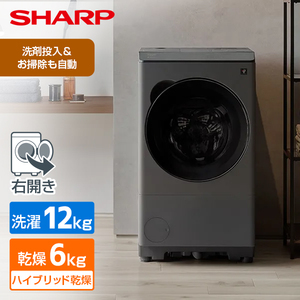 ドラム式洗濯乾燥機