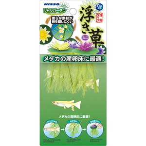 水槽・アクアリウム