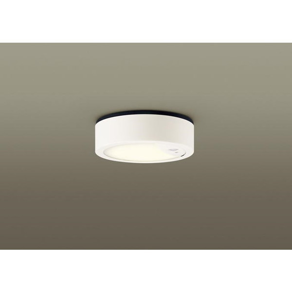 PANASONIC LSEWC2087LE1 [LEDpV[OCg (dF)]