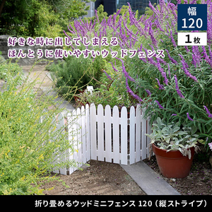 ラティス・フェンス