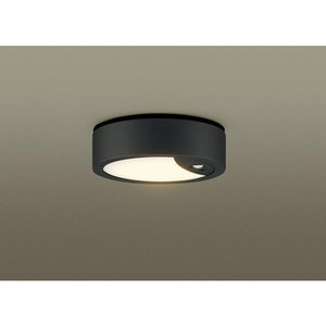 シーリングライト