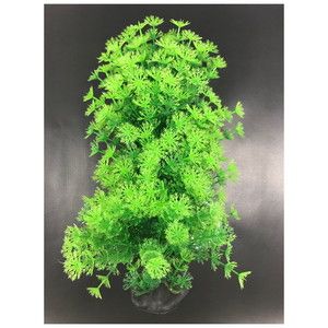 水槽・アクアリウム