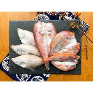 魚介類・海産物