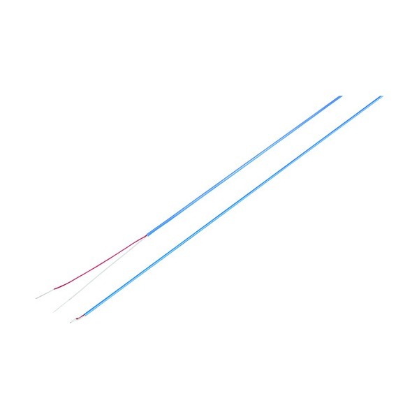 ���u�d�@ Z2020 K�M�d�� Z2020