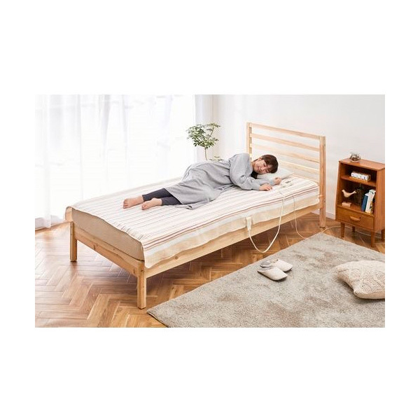 新品　アイリス 電気毛布 188×130cm EHB-1813-T 2セット IRIS OHYAMA 電気毛布 188×130cm 敷き毛布 洗える ダニ退治 節電