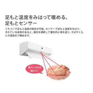SHARP AY-N36X-W ホワイト系 N-Xシリーズ [エアコン (主に12畳