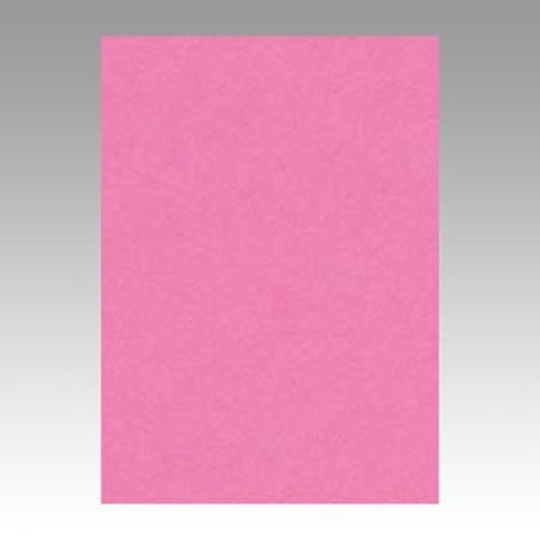 HISAGO 1318-4NCR-242 Fp j[J[ 4 