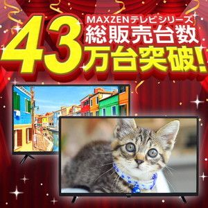 MAXZEN マクスゼン J24CHS06 [24型 地上・BS・110度CSデジタル