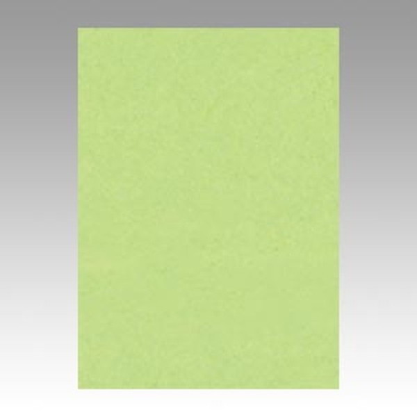 ̑[J[ 1318-4NCR-243 Fp j[J[ 4 킩