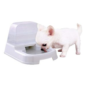 水入れ・ウォーターボトル