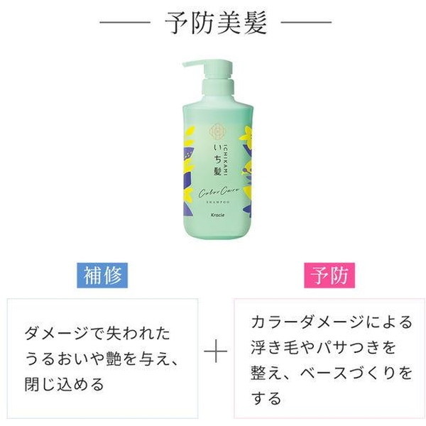 テンスター カラーシャンプー ソフトブラック 300mL 2個セット