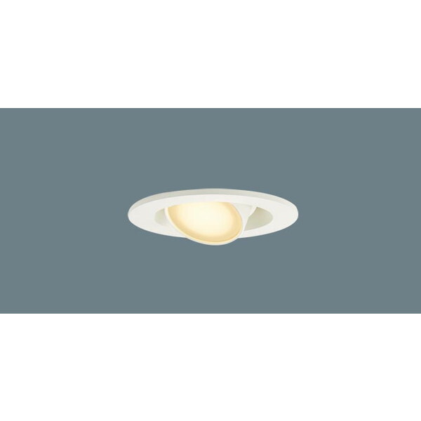 PANASONIC LGD1302LLE1 [LED���j�o�[�T���_�E�����C�g (�d���F)]