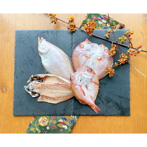 魚介類・海産物