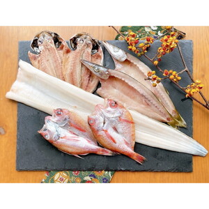 魚介類・海産物