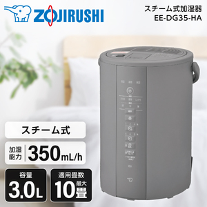 象印 EE-RV35-WA ホワイト [スチーム式加湿器 (木造6畳/コンクリ10畳