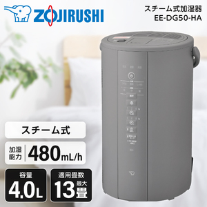 三菱重工 SHE120VD-W クリアホワイト roomist [スチーム式加湿器 (木造