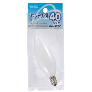 その他電球・蛍光灯