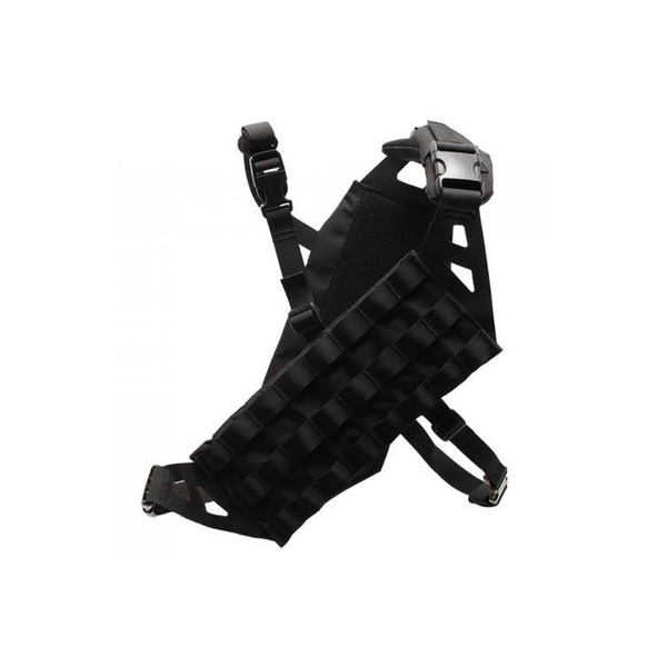 LayLax CgEFCg o_AubN