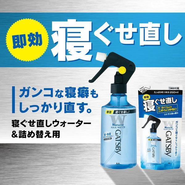 マンダム ギャツビー 寝ぐせ直しウォーター ヘアスタイリング剤 つめかえ用 250ml 激安の新品・型落ち・アウトレット 家電 通販 XPRICE  エクスプライス (旧 PREMOA プレモア)