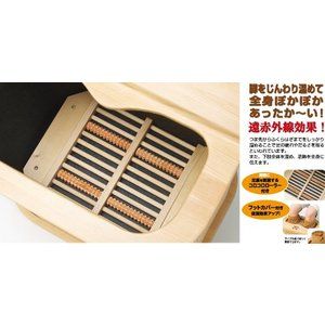 アサヒ AY-2022N ぽかぽか足湯DX [脚温器] | 激安の新品・型落ち