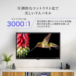 MAXZEN マクスゼン J24CH06 [24型 地上・BS・110度CSデジタル